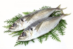 EPAが豊富な青魚